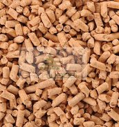 Wood pellets for litter